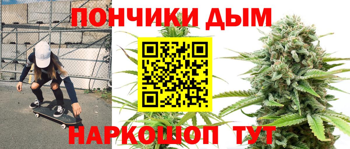 Шишки марихуана сатива Мытищи